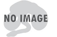Image of Boa imperator